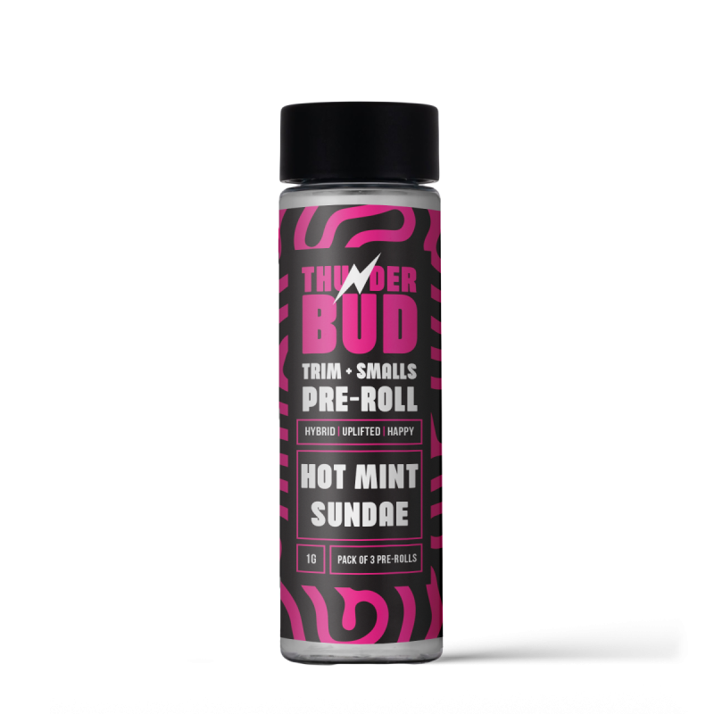 Hot Mint Sundae - 3 Pack