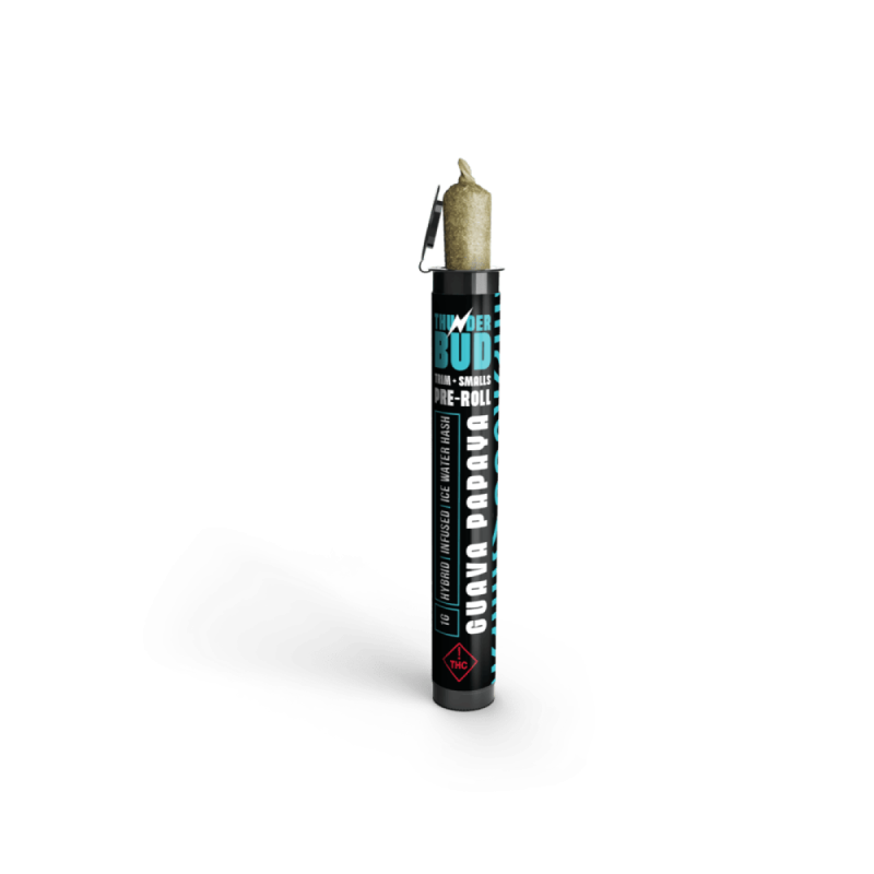 Guava Papaya Hash Infused